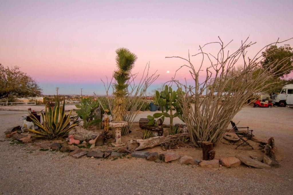 Joshua Tree Ranch House Motel - Downtown - Room #4 Extérieur photo