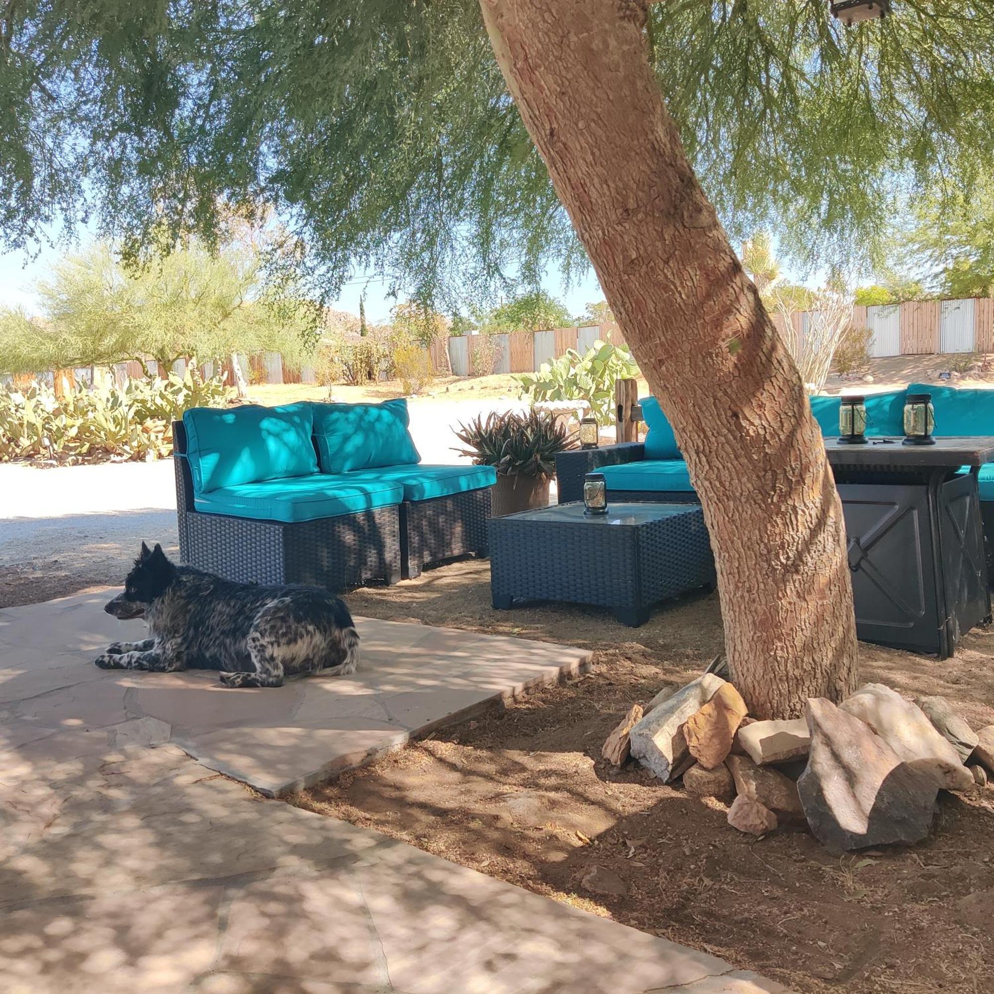 Joshua Tree Ranch House Motel - Downtown - Room #4 Extérieur photo